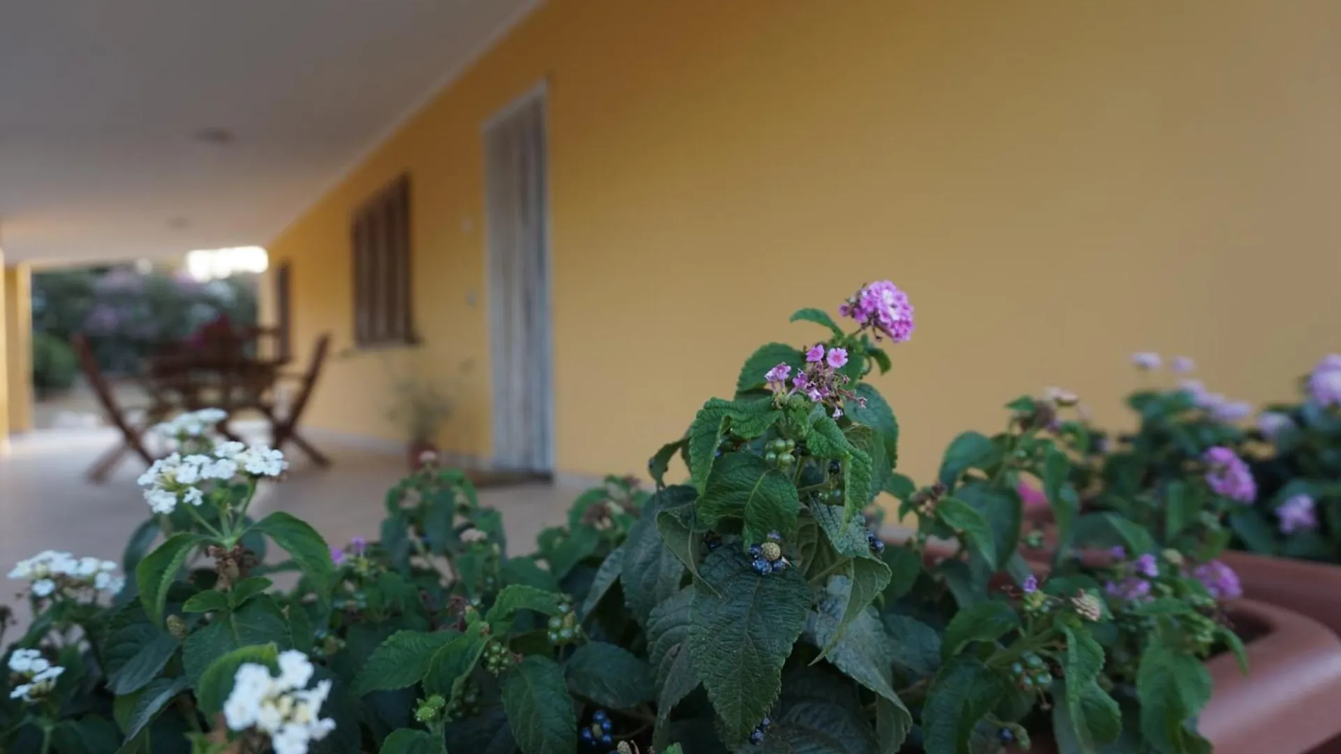 Bombarde Natural House Αλγκέρο Ιταλία