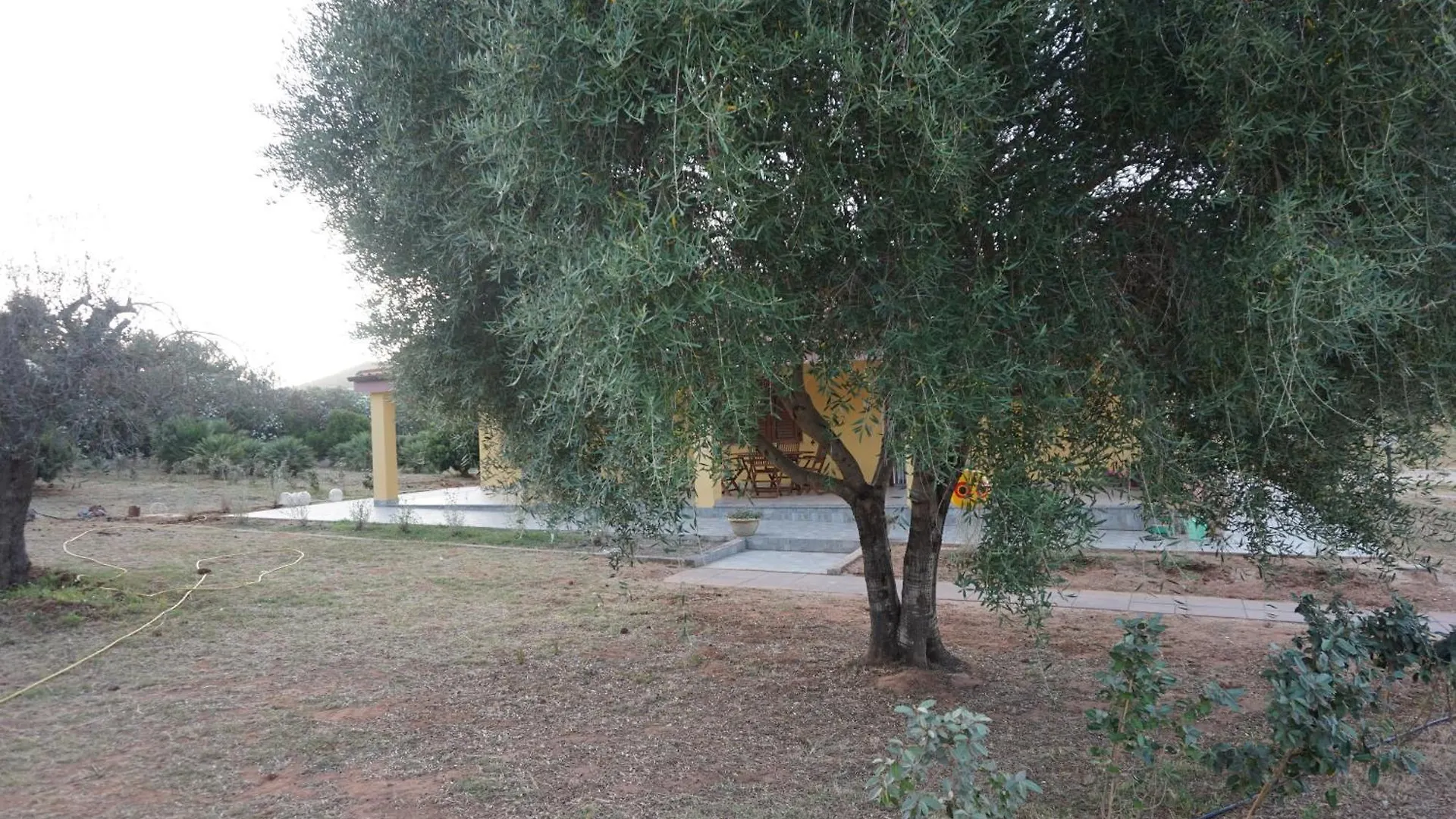 Διαμέρισμα Bombarde Natural House Αλγκέρο