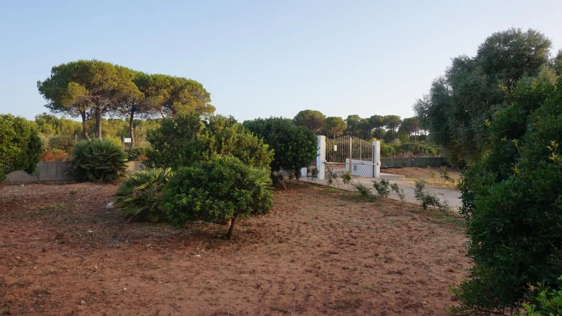 Bombarde Natural House Αλγκέρο 0*,