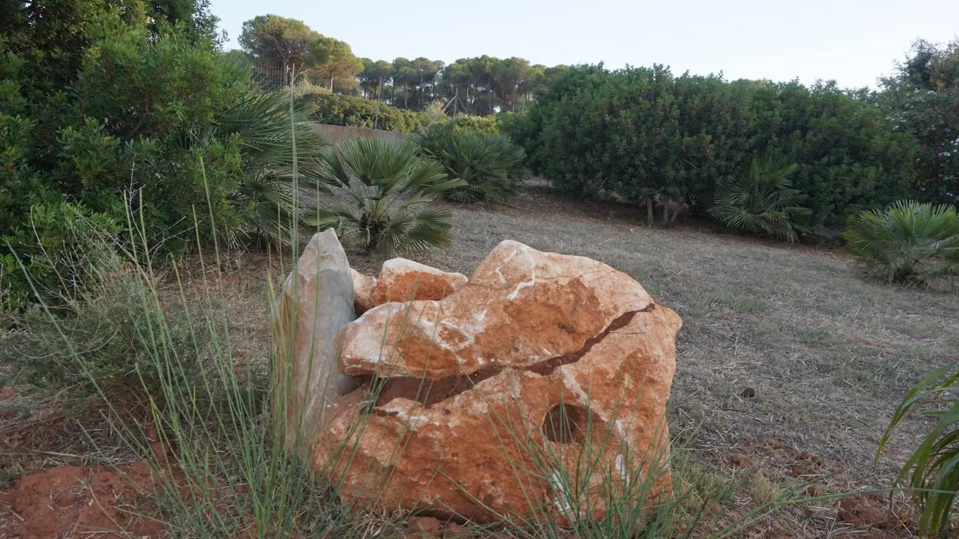 Bombarde Natural House Αλγκέρο