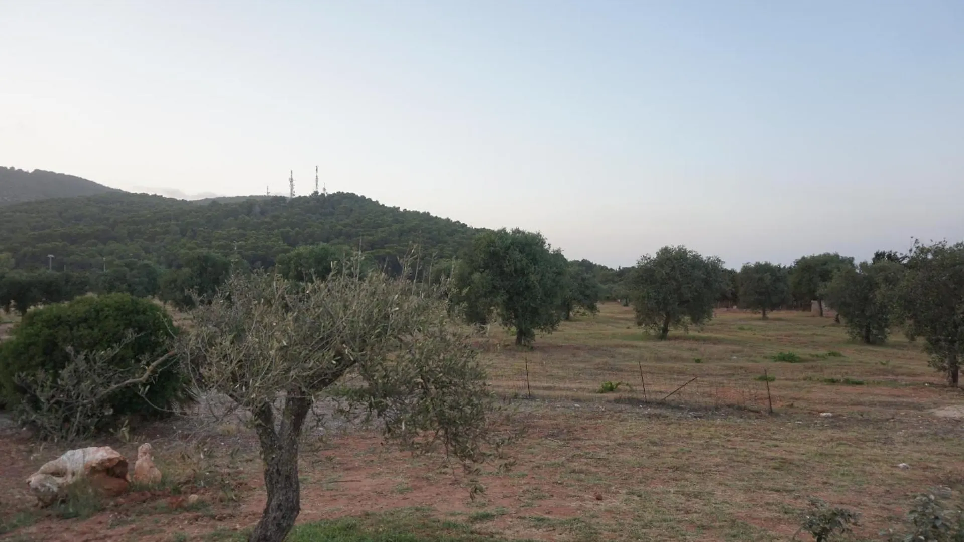Διαμέρισμα Bombarde Natural House Αλγκέρο