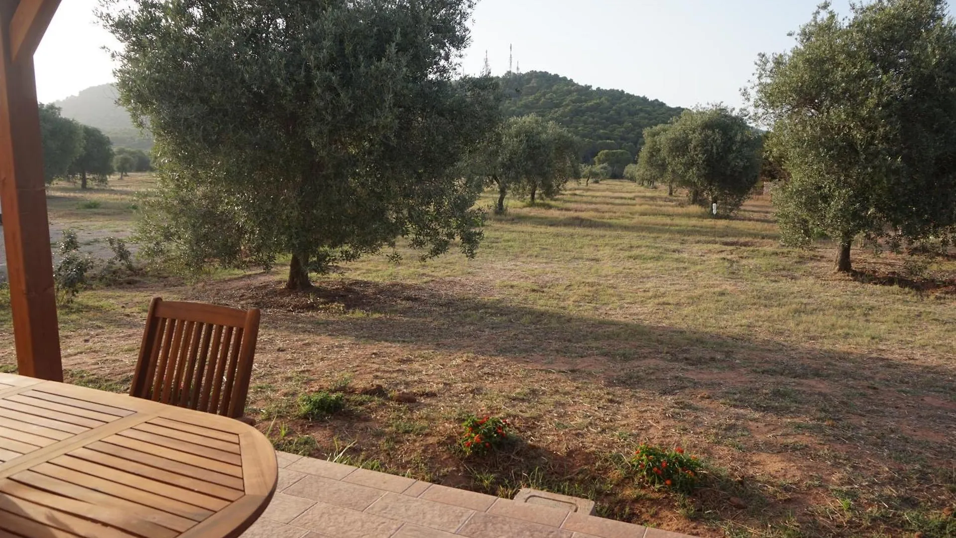 Bombarde Natural House Αλγκέρο Ιταλία