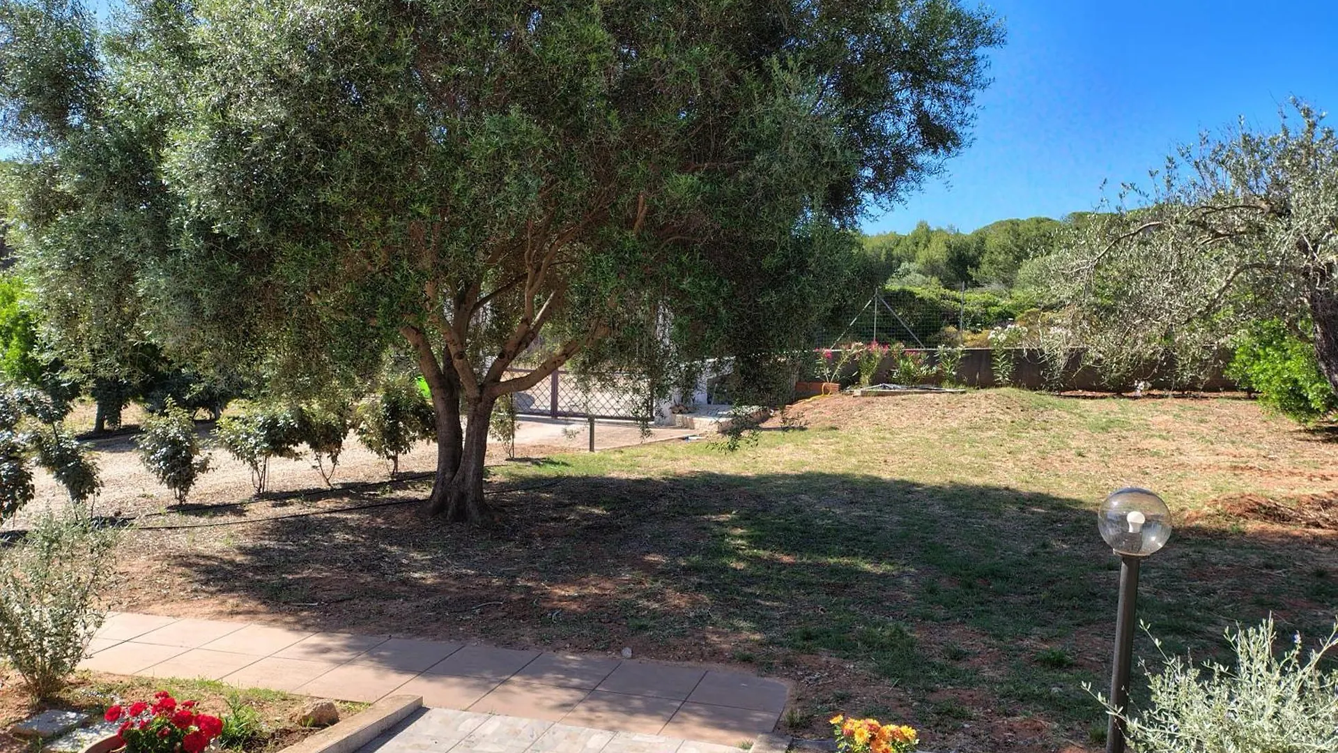 Bombarde Natural House Αλγκέρο 0*,