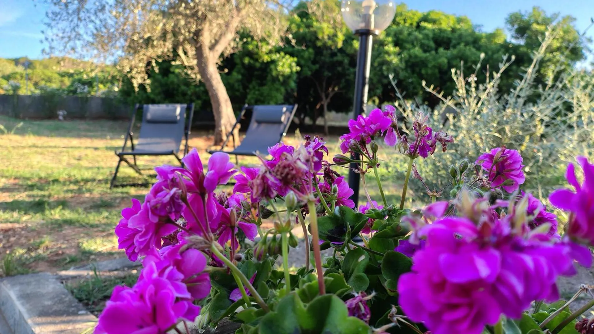 Bombarde Natural House Αλγκέρο Διαμέρισμα
